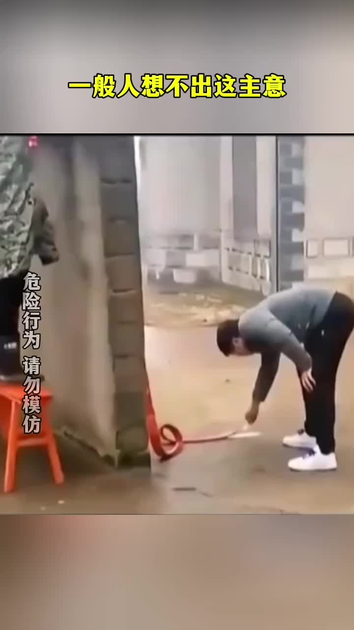 一般人想不出这主意！鞭炮：你对速度一无所知