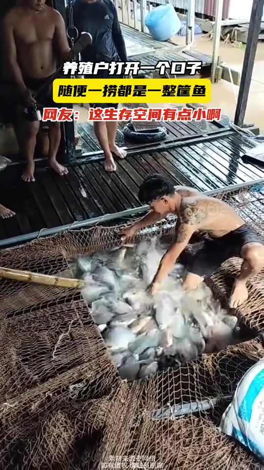 这随便一捞，都让掉佬羡慕不已！！！