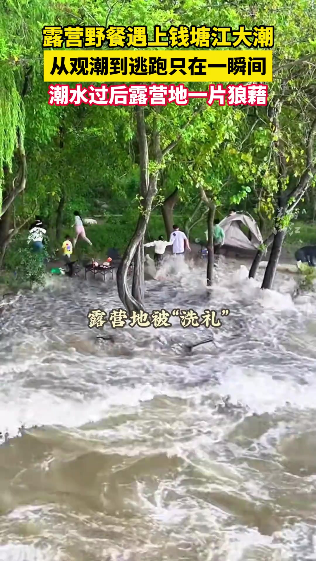 露营遇上钱塘江大潮，从观潮到逃跑只需一秒