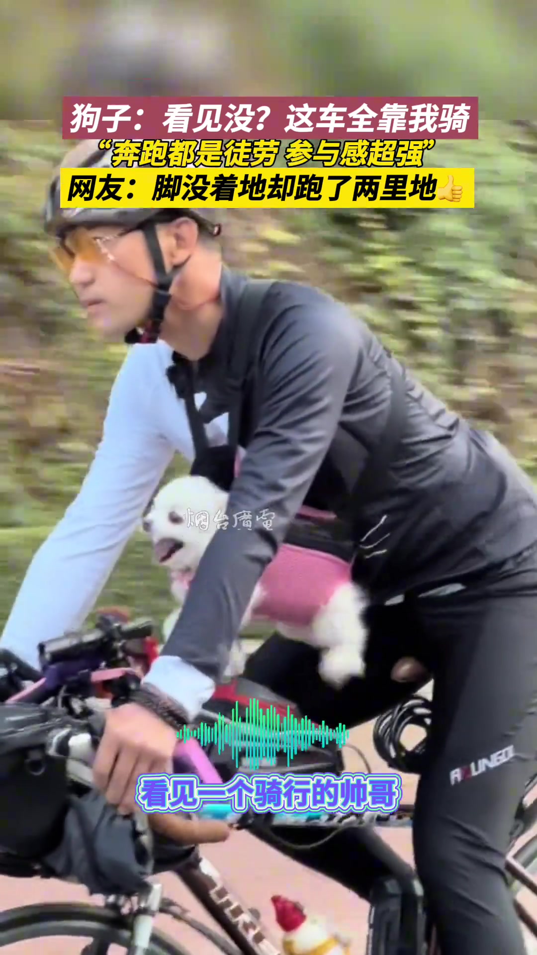 狗狗脚没着地却跑了两里地，参与感超强！