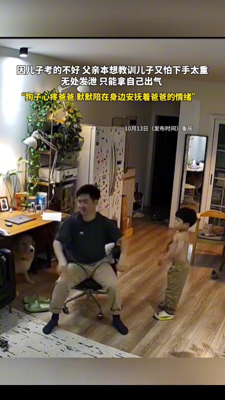 网友：很理解爸爸的做法！