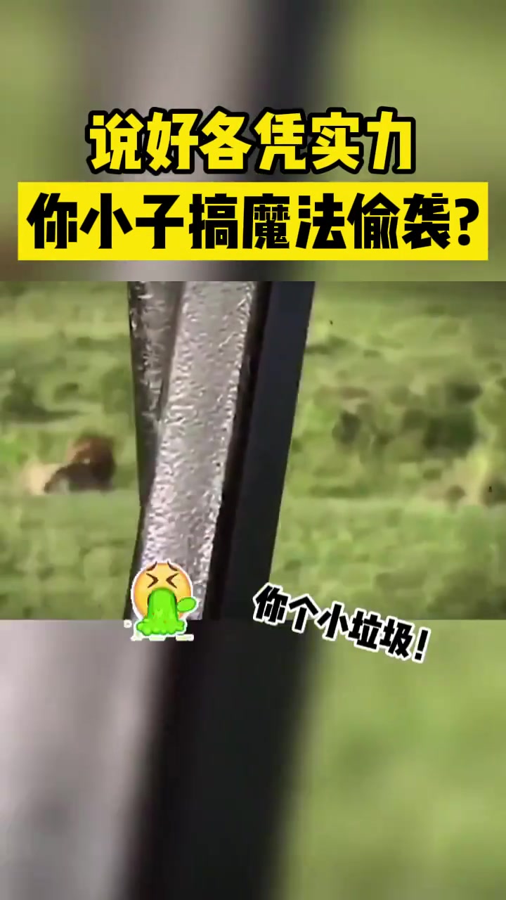 说好各凭实力你小子搞魔法偷袭