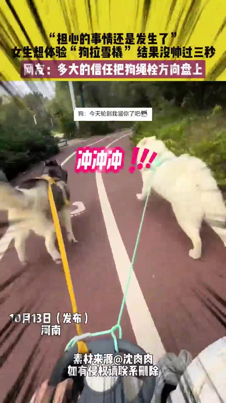 担心的事情还是发生了，女生想体验“狗拉雪橇”结果没帅过三秒