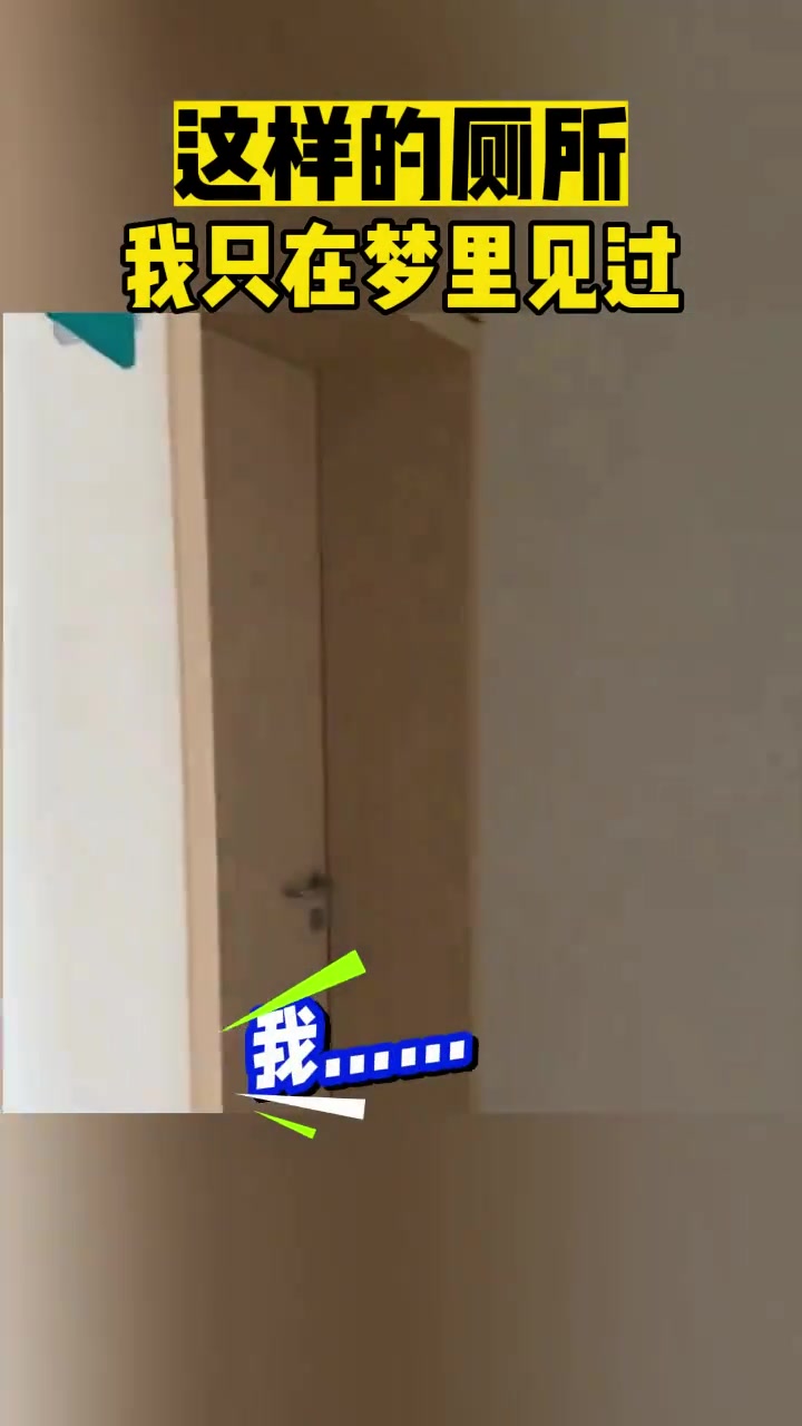 这样的厕所我只在梦里见过