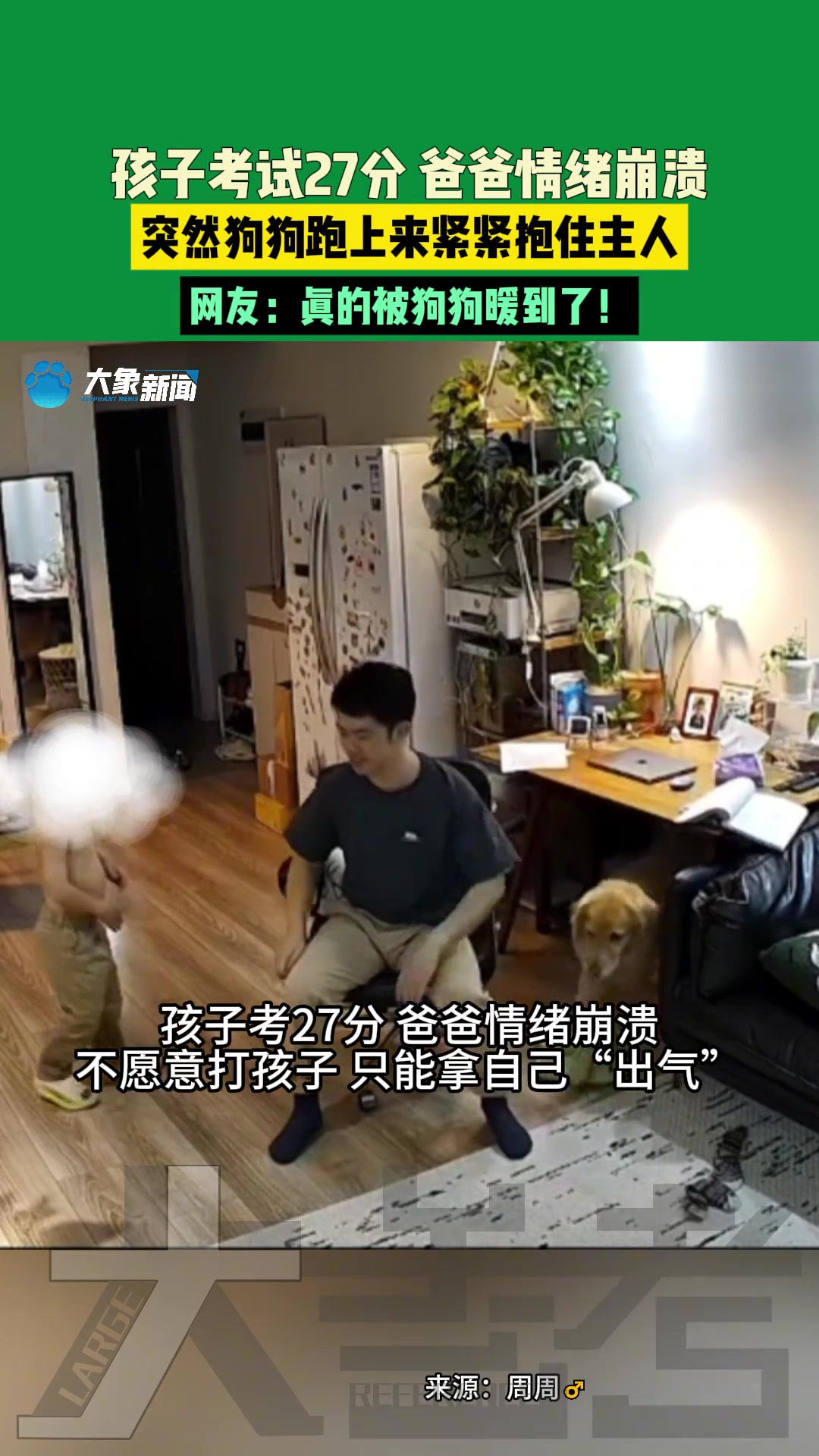 孩子考试27分爸爸情绪崩溃突然狗狗跑上来紧紧抱住主人