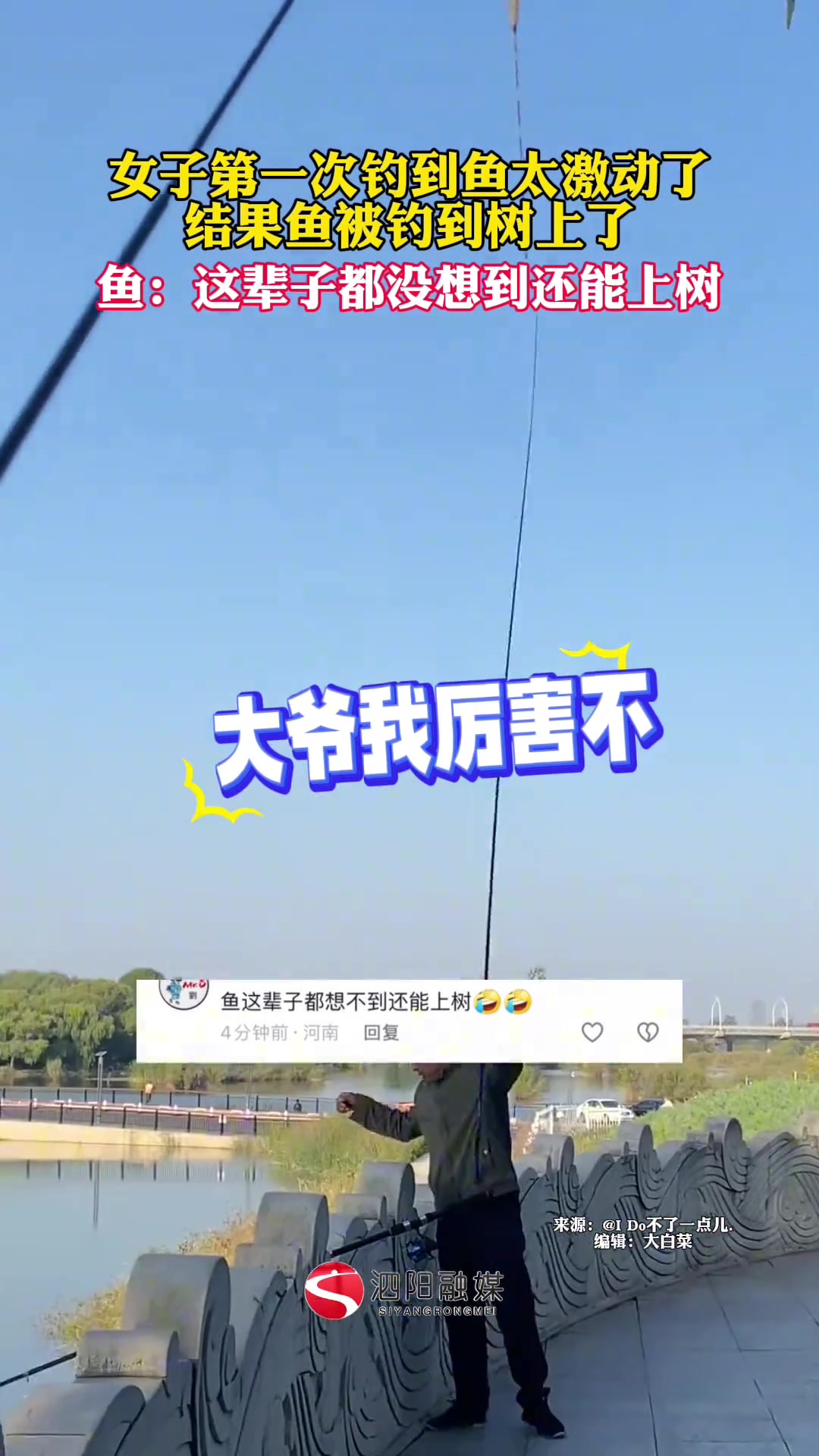 鱼这辈子都没想到自己还能上树