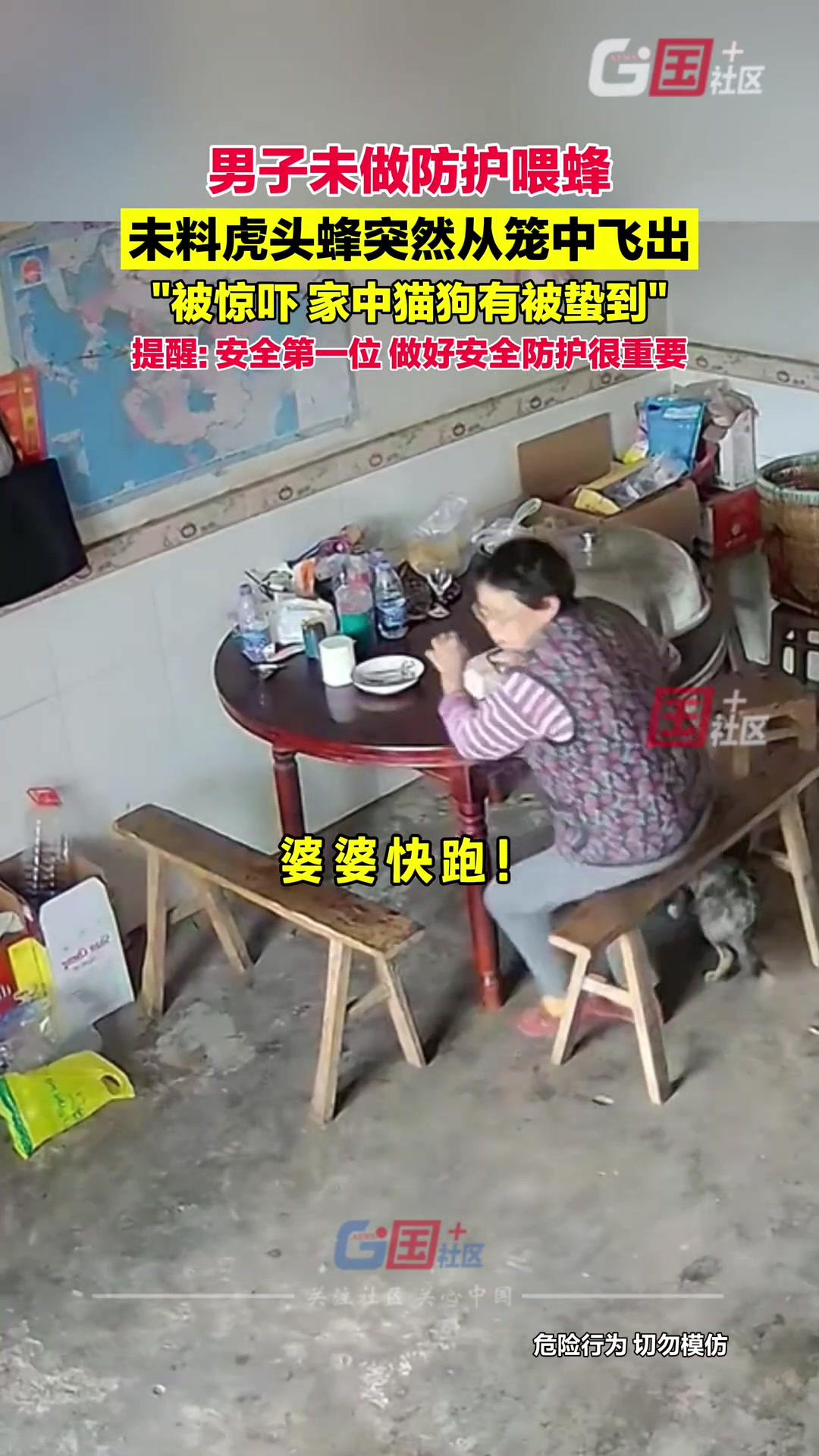 男子未做防护喂蜂未料虎头蜂突然从笼中飞出