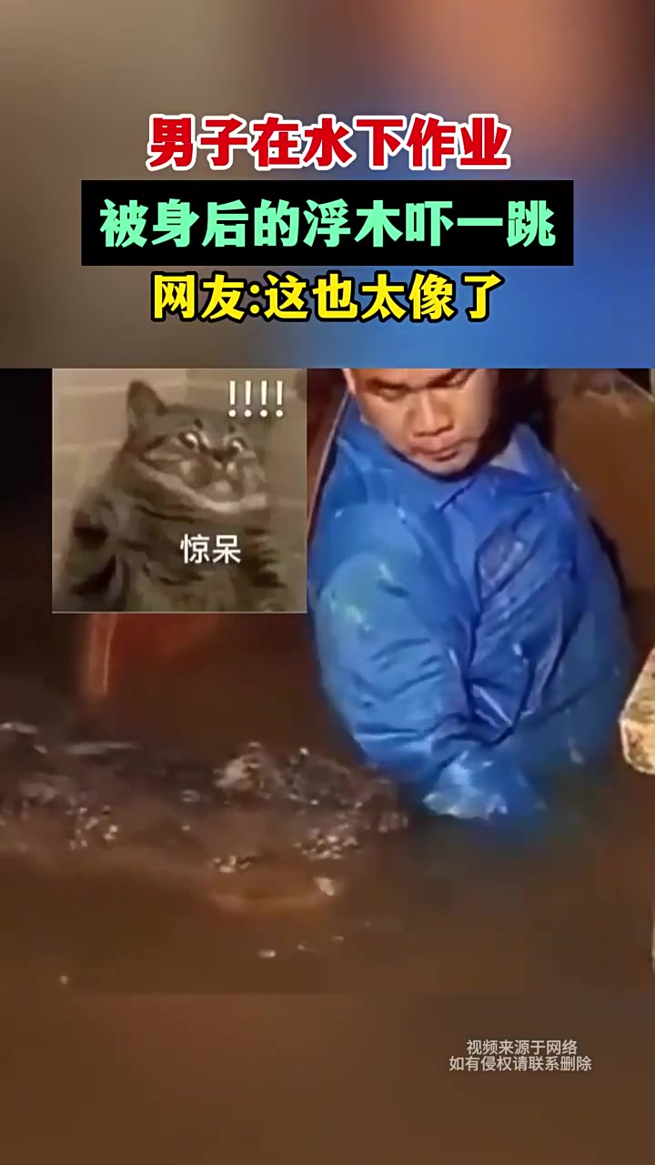 第一眼以为是鳄鱼呢！男子在水下作业被身后的浮木吓一跳