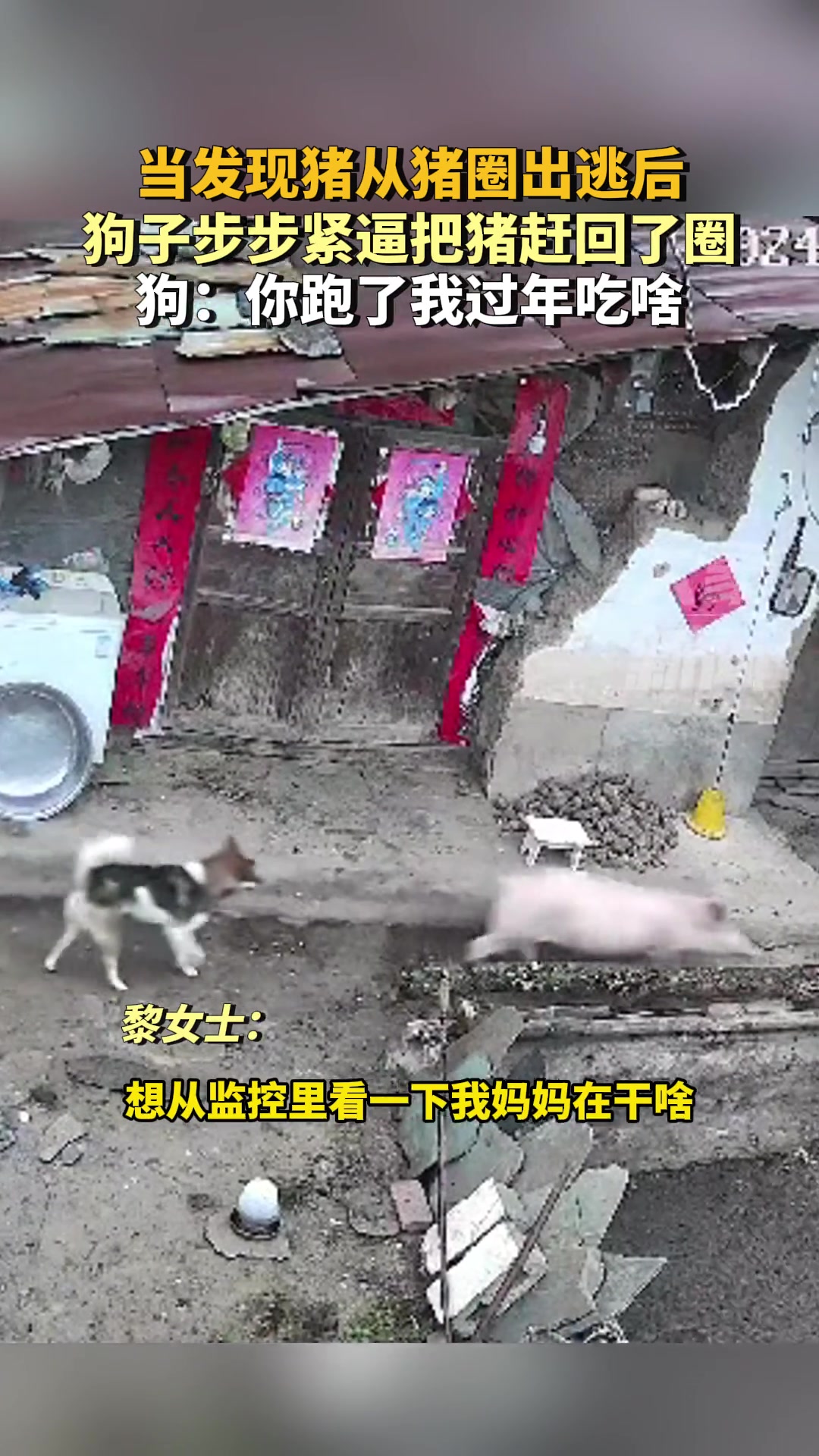 狗：你跑了我过年吃啥！
