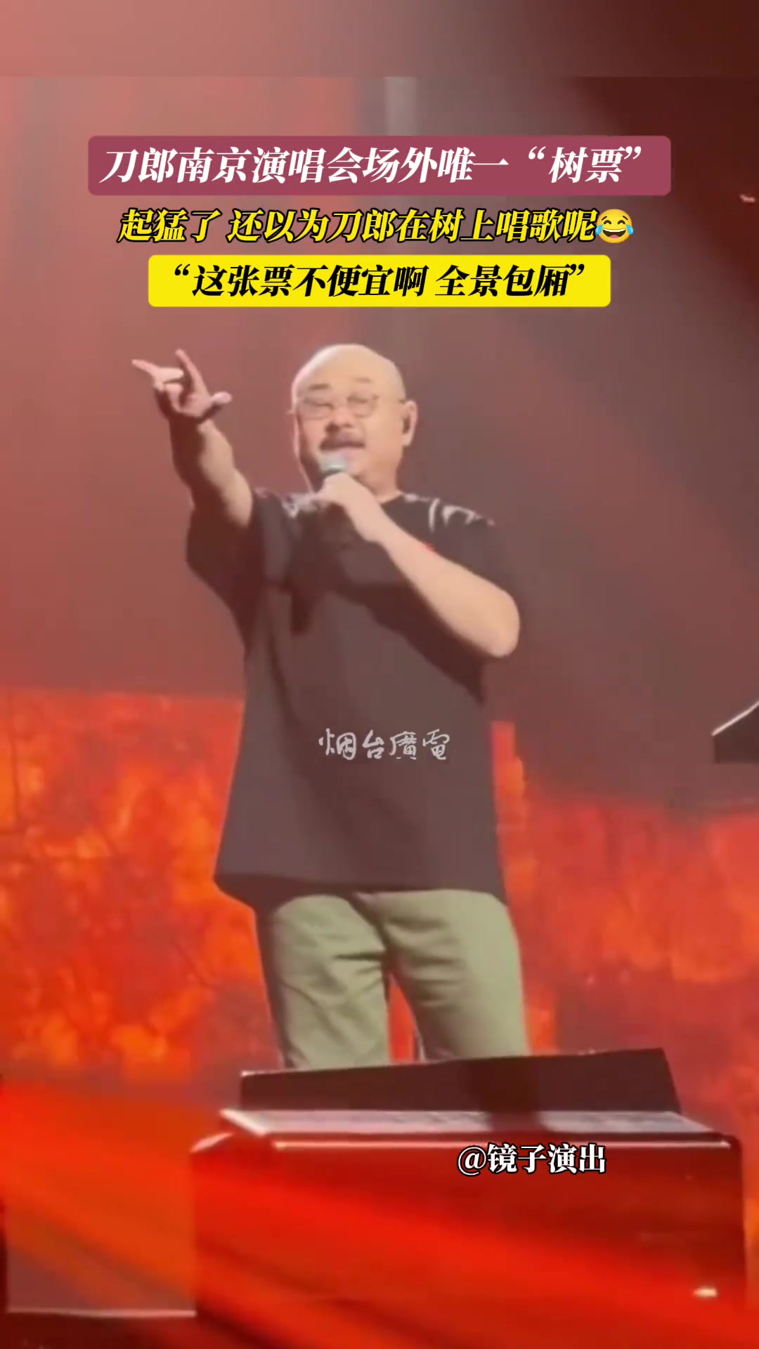 刀郎演唱会场外唯一“树票”请问真站得高看得远吗