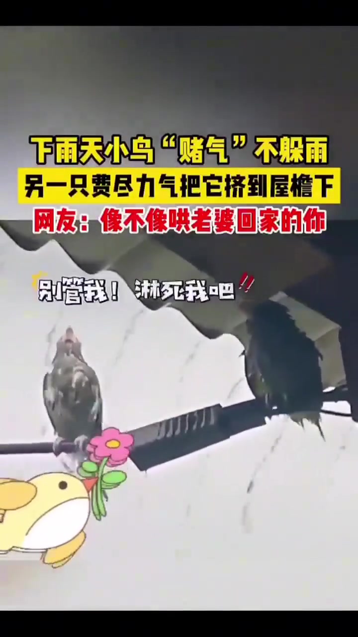 此情此景，有没有像极了发犟生气的情侣
