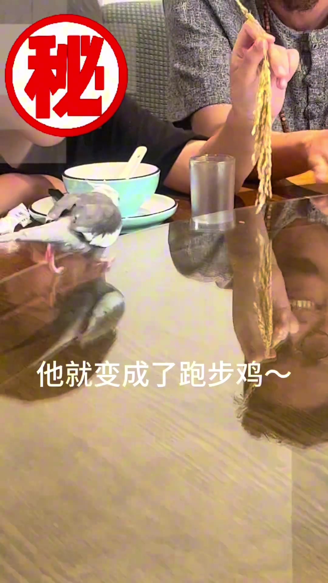 有翅膀我是一点都不用我就跑！