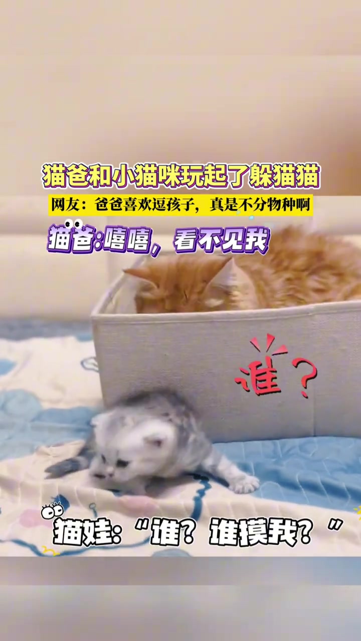 躲猫猫原来是这么来的
