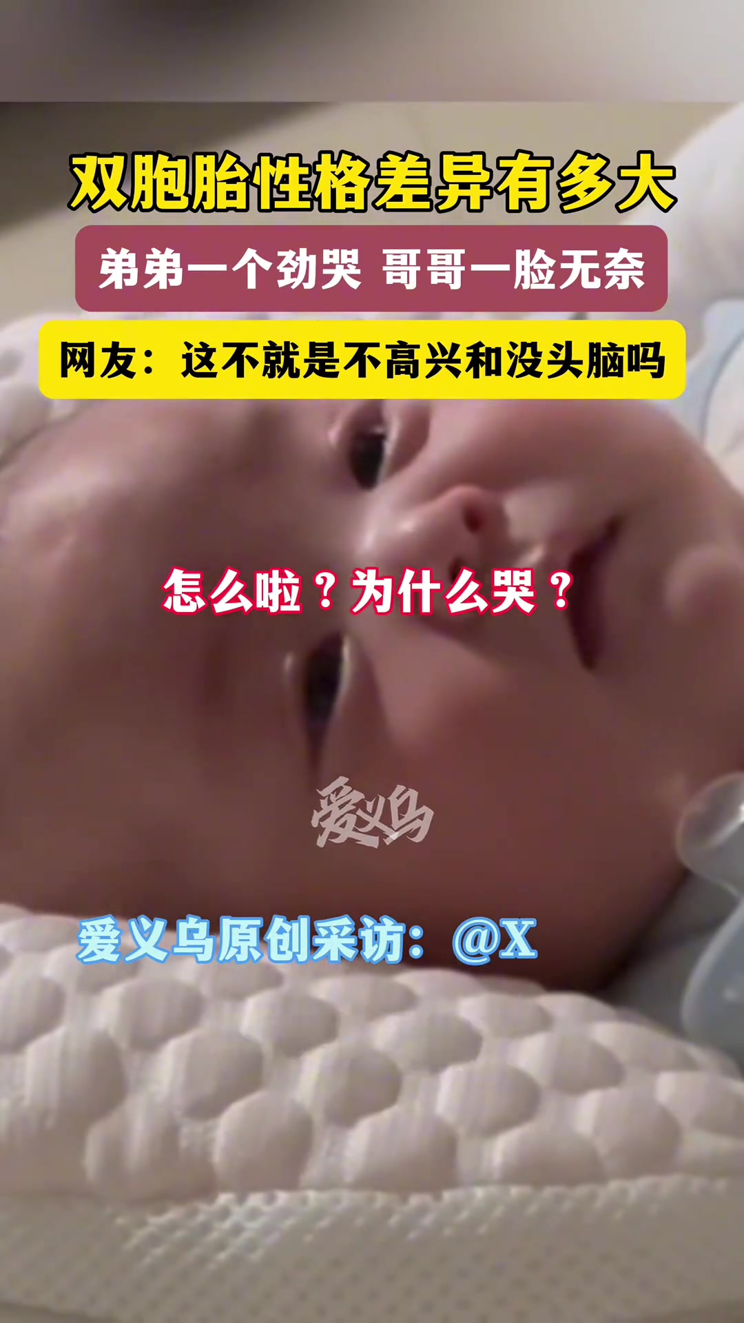 双胞胎性格差异有多大，网友：这不就是不高兴和没头脑吗