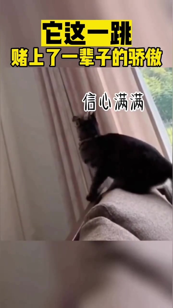它这一跳赌上了一辈子的骄傲