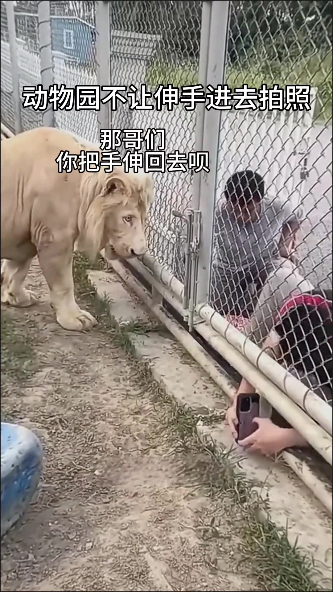 动物园拍照技巧指南