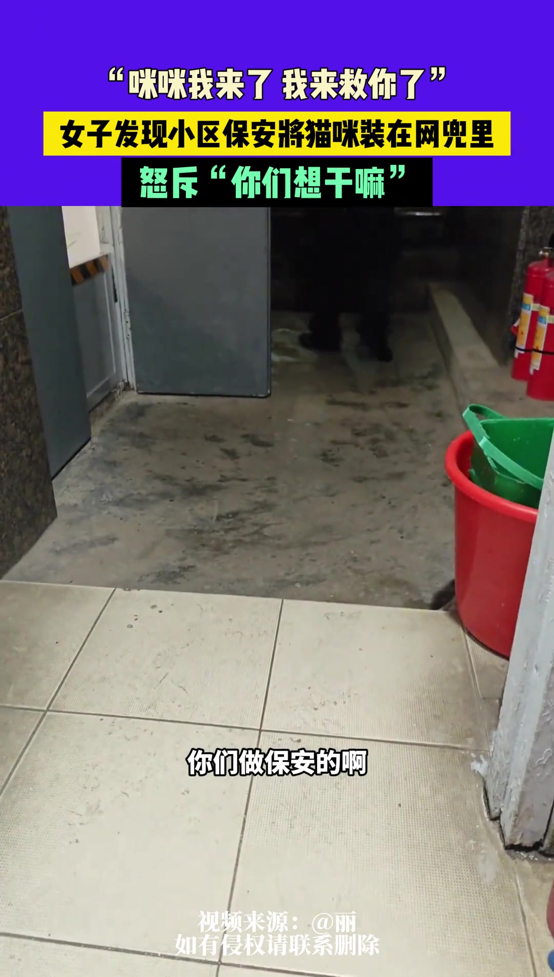 女子发现小区保安将猫咪装在网兜里，怒斥“你们想干嘛”