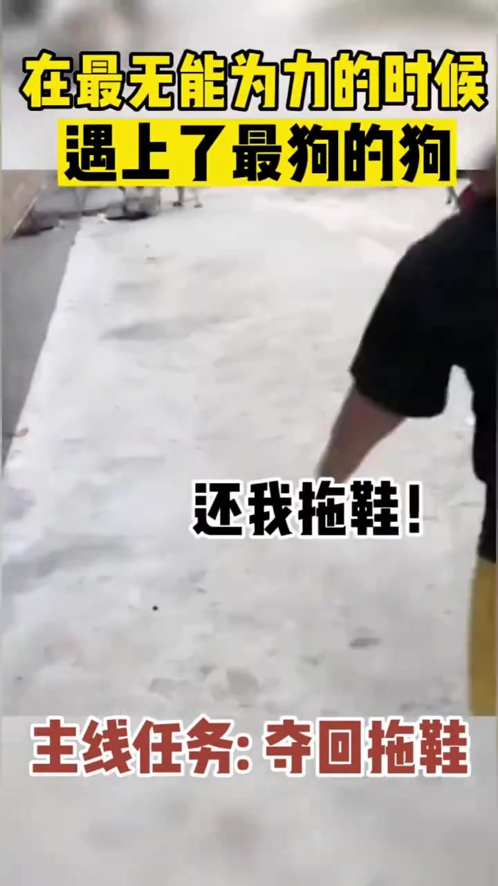 在最无能为力的时候遇上了最狗的狗