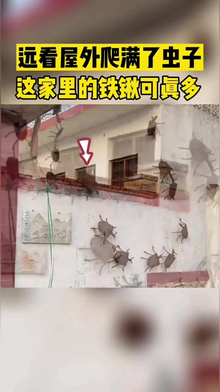 远看屋外爬满了虫子这家里的铁锹可真多！