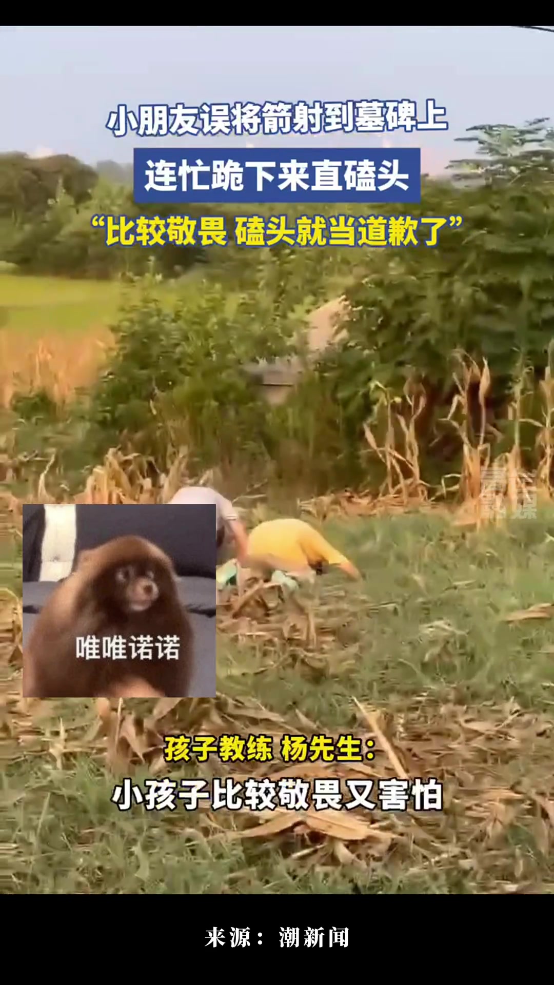 小朋友练习射箭，误将箭射到墓碑上，连忙跪下直磕头