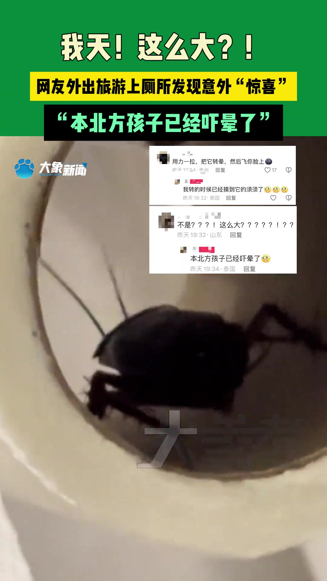 我天！这么大！网友外出旅游上厕所发现意外“惊喜”“