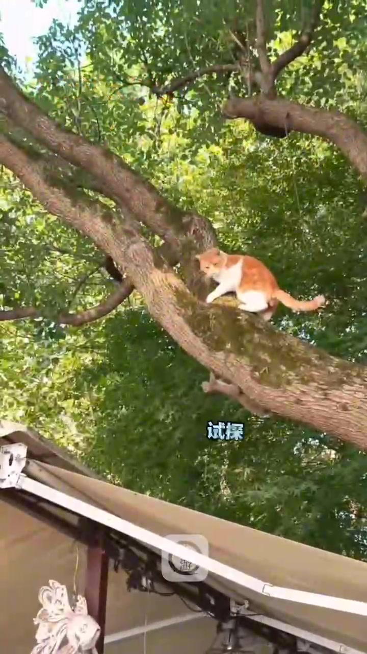 松鼠：哥们你看清点啊，我不是下水道那只