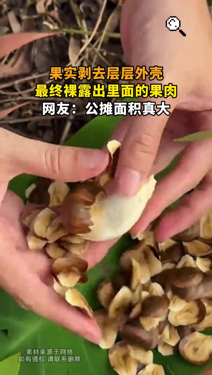 这啥果子啊公摊面积这么大