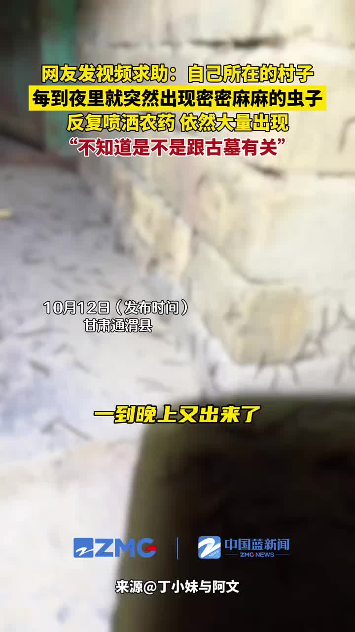 网友发视频求助：自己村子每到夜里就突然出现密密麻麻的虫子！