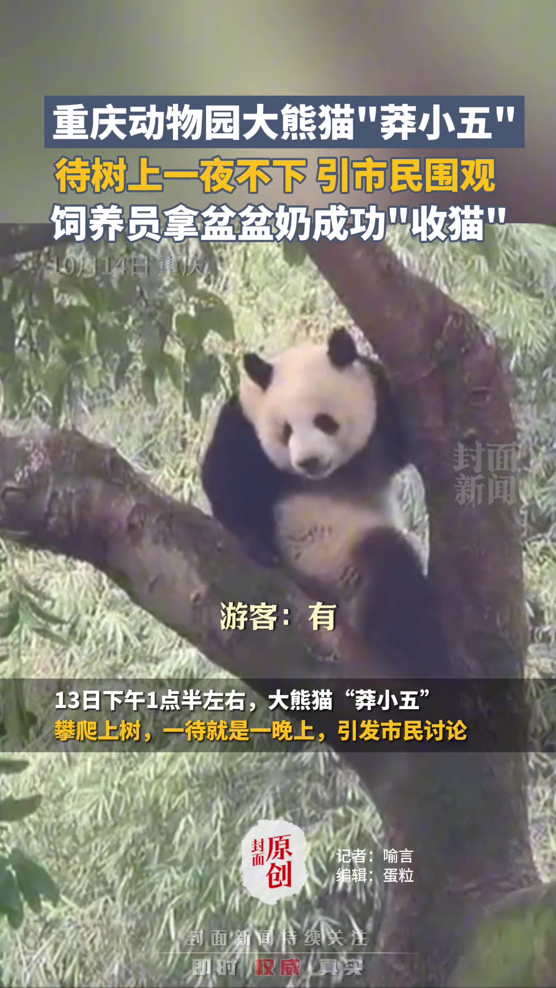 小五真的呆了一晚上吗