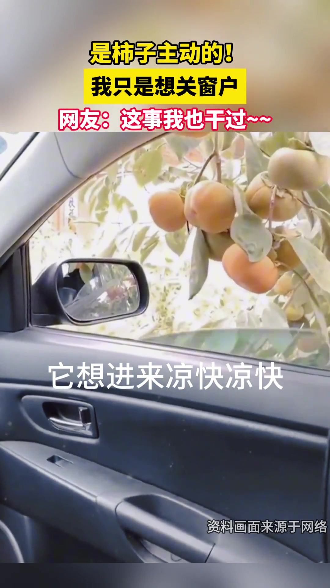 是它自己跑进来的！这应该不算偷吧