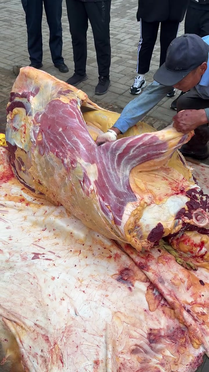 一头牛也出不多少好肉全是下水！