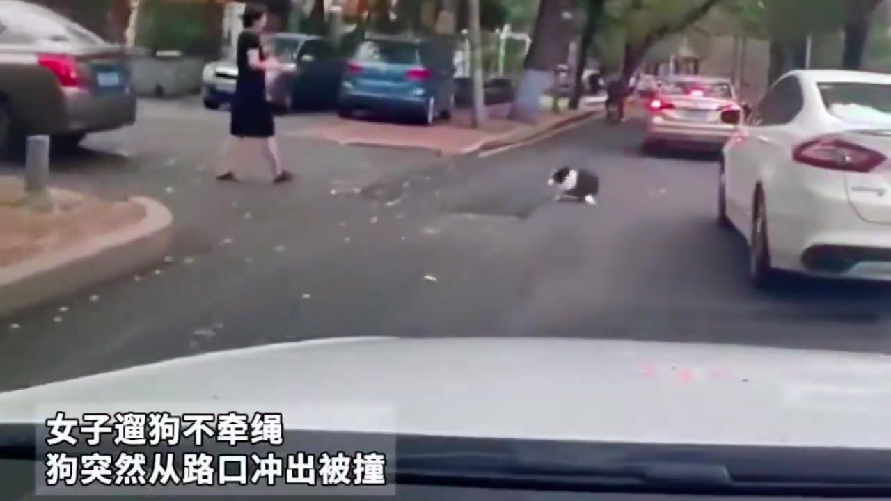 这种情况也能怪人家开车的！