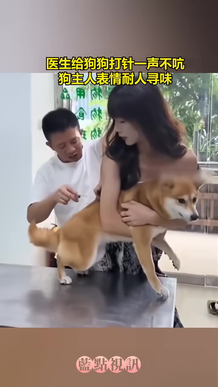 有啥耐人寻味的感觉就是怕狗狗突然暴起吧