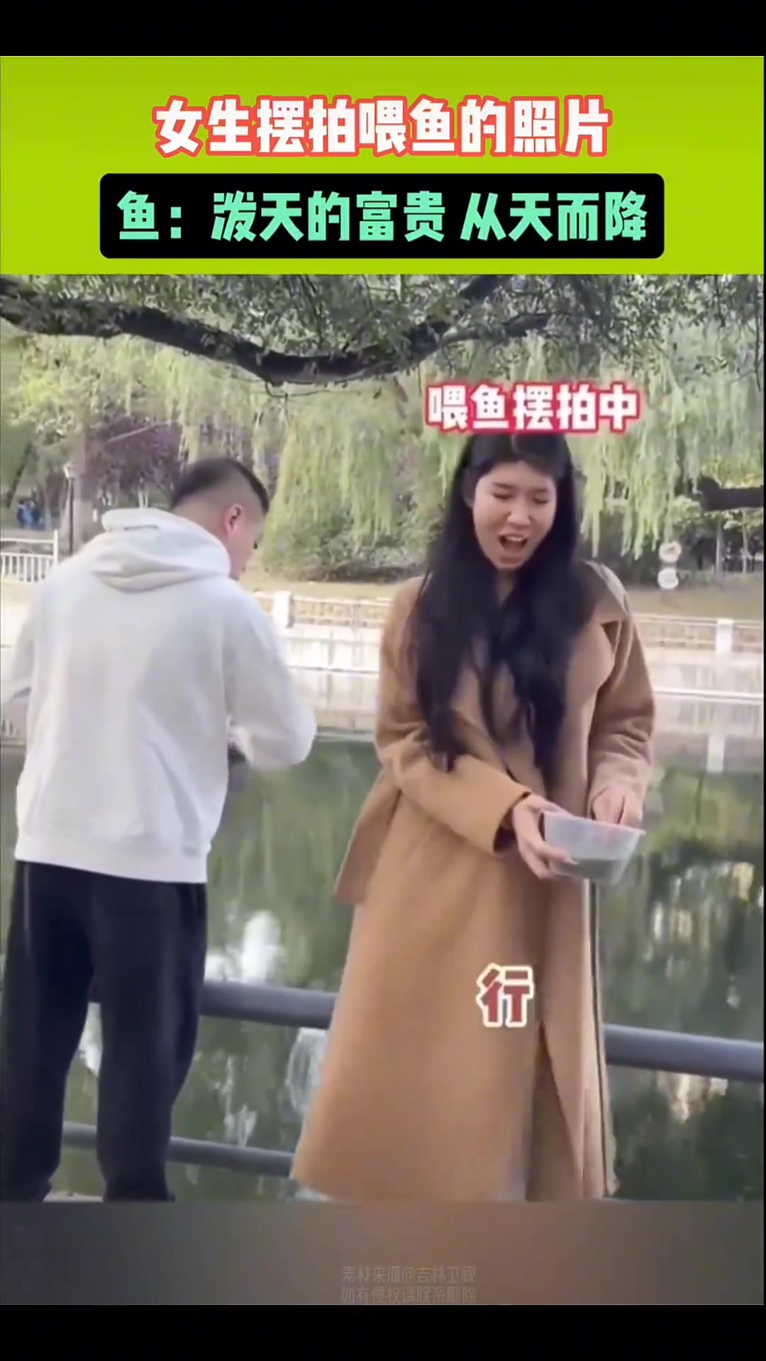 女生摆拍喂鱼的照片后，鱼：伙计们快来啊，朝廷的赈灾粮下来啦