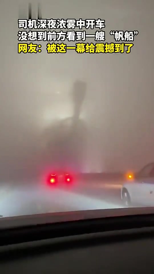 司机深夜浓雾中开车，突然出现这一幕
