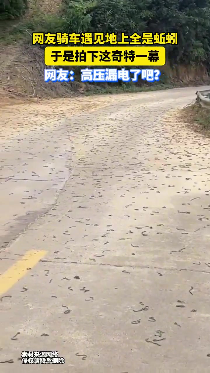 网友骑车遇见地上全是蚯蚓，于是拍下这奇特一幕