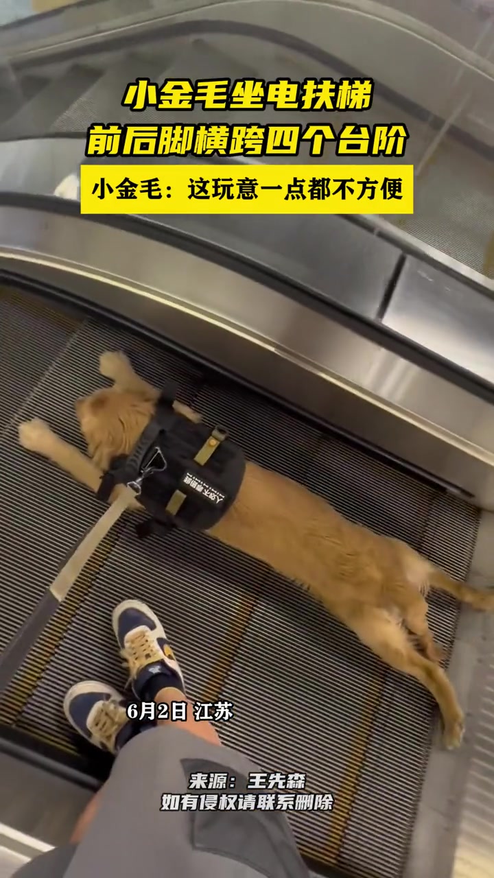 怎么给我上大刑了