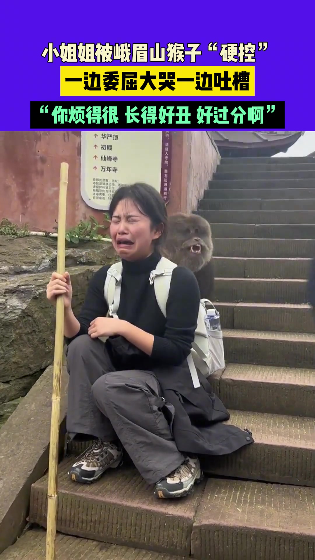 小姐姐被峨眉山猴子“硬控”坐台阶上一边委屈大哭一边吐槽