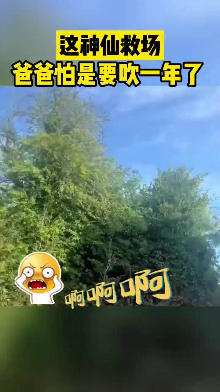 这神仙救场爸爸怕是要吹一年了