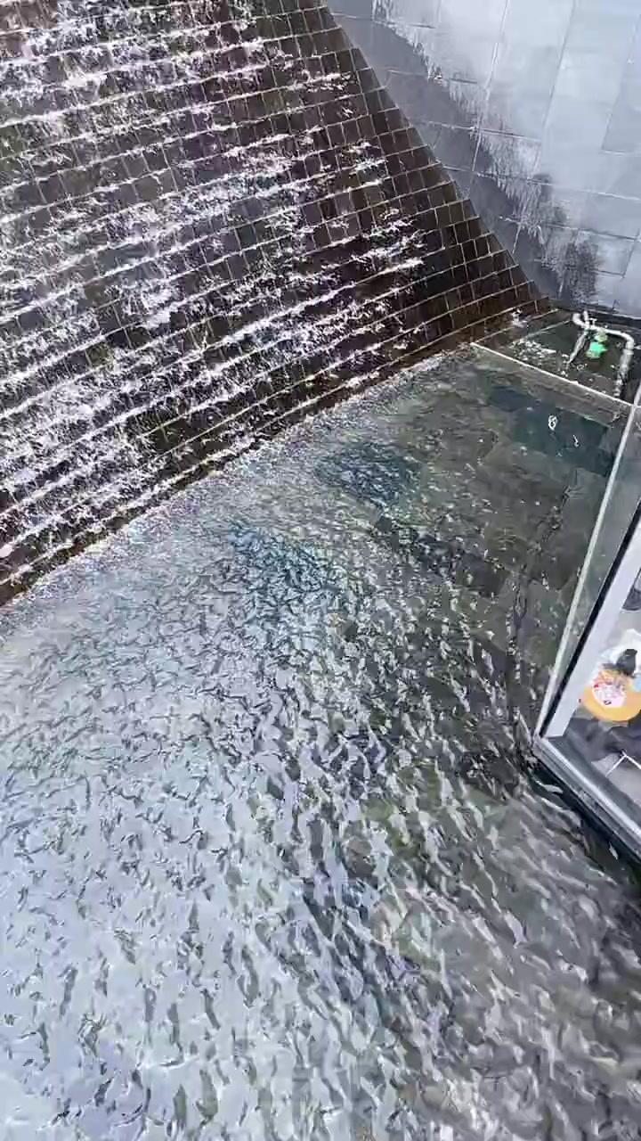 这KFC真的好会选地方啊隔窗水景