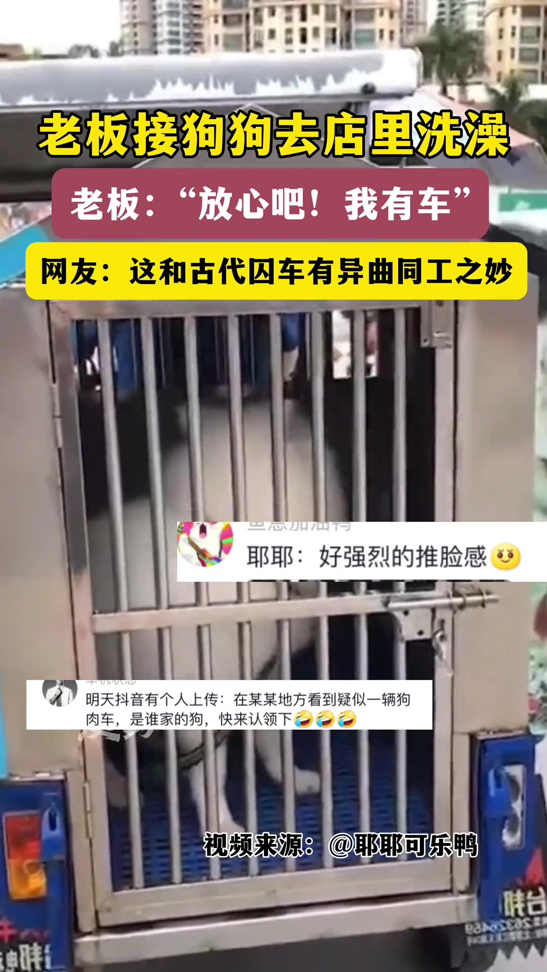 宠物店老板开车接狗狗去洗澡这车看着是不是有点眼熟