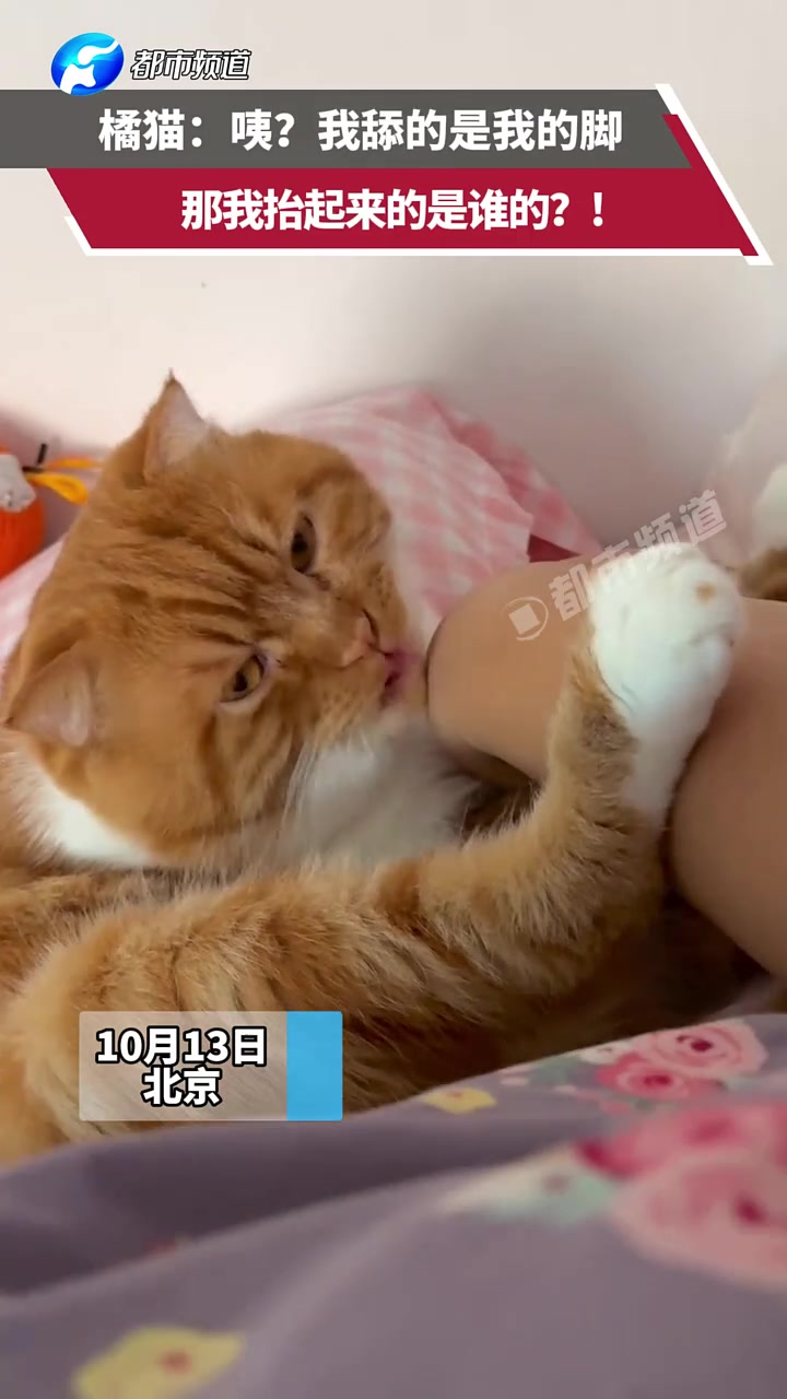 宕机了！那我刚刚舔的是谁的脚?