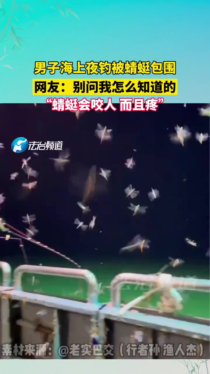 男子海上夜钓被蜻蜓包围！