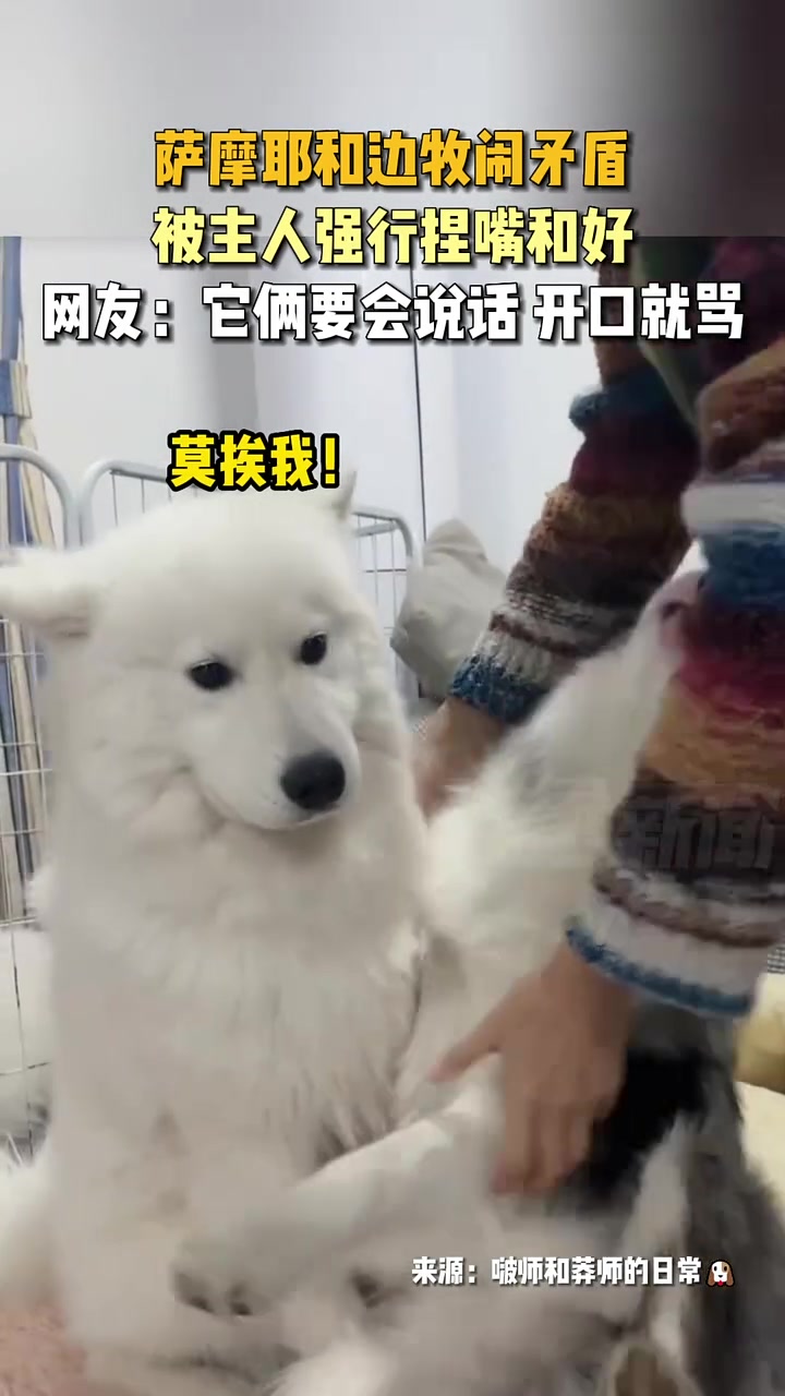 强制亲嘴禁忌的冤家强制爱！满脸写满高兴！