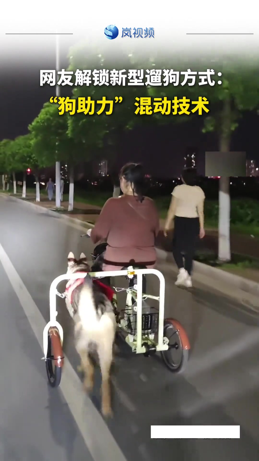 解锁新型遛狗方式！新一代混动技术“人狗混动”