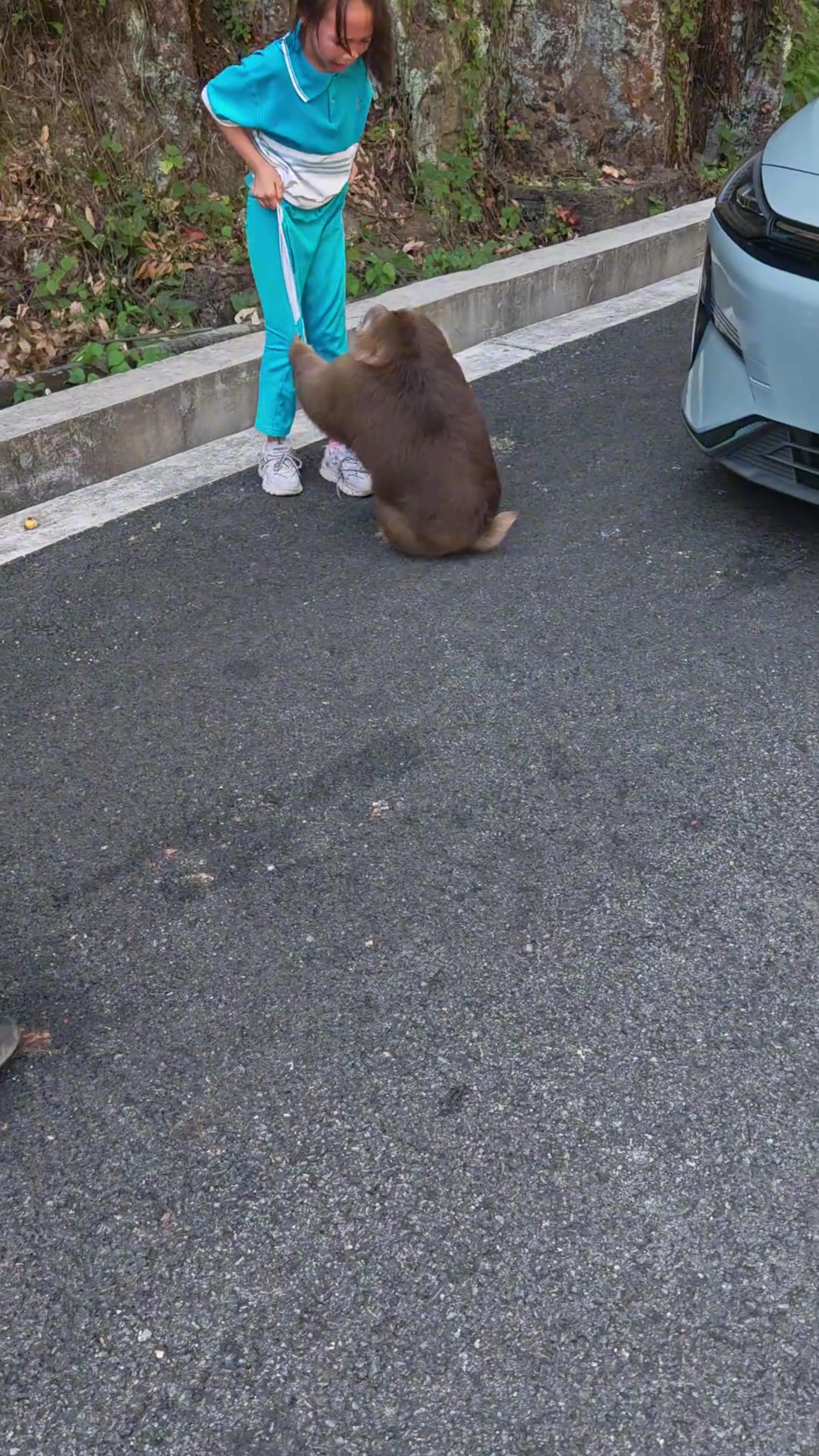 猴哥你消消火动不动就大闹天空这样是不对的！