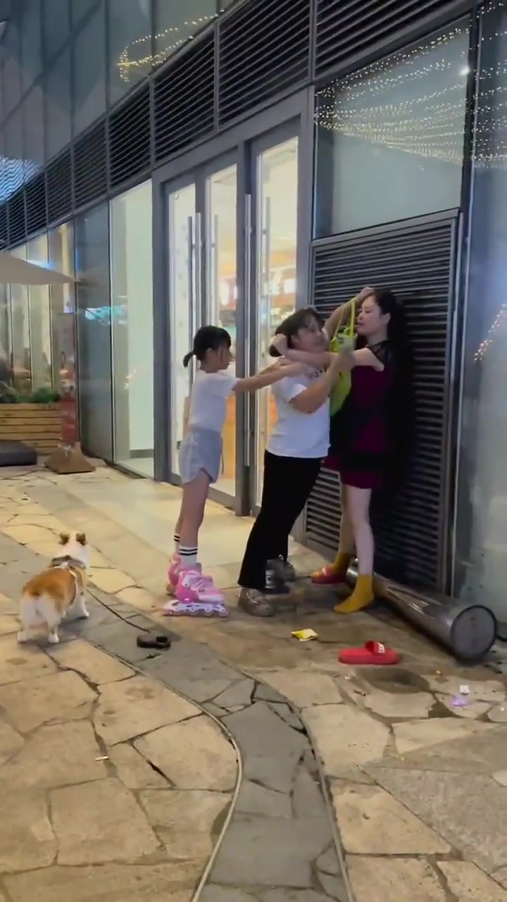 女子遛狗吓到孩子，狗主人和孩子妈妈大打出手！