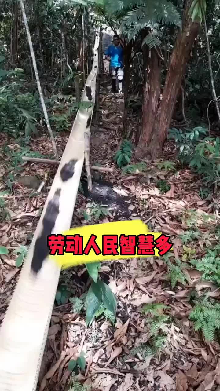 从山上到山下，直接装车了！！