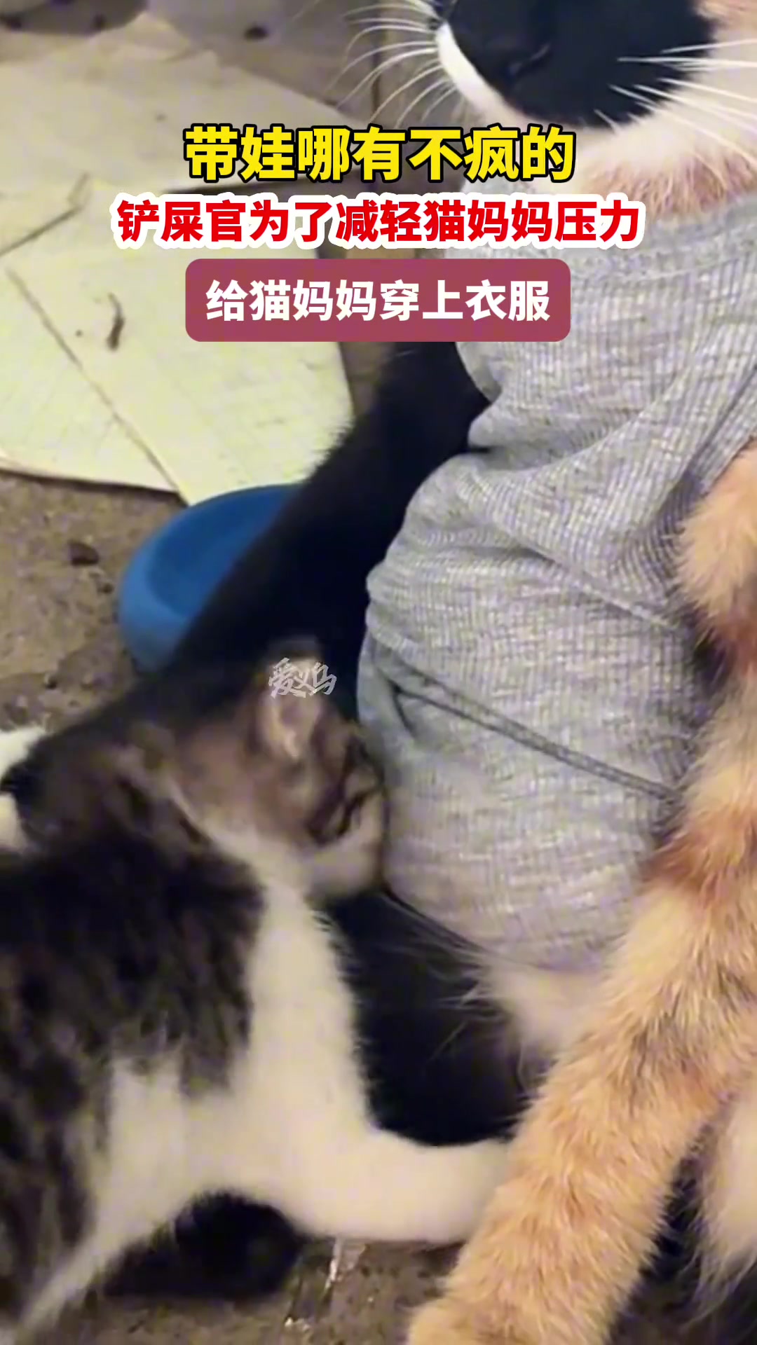 网友：谁带娃谁疯