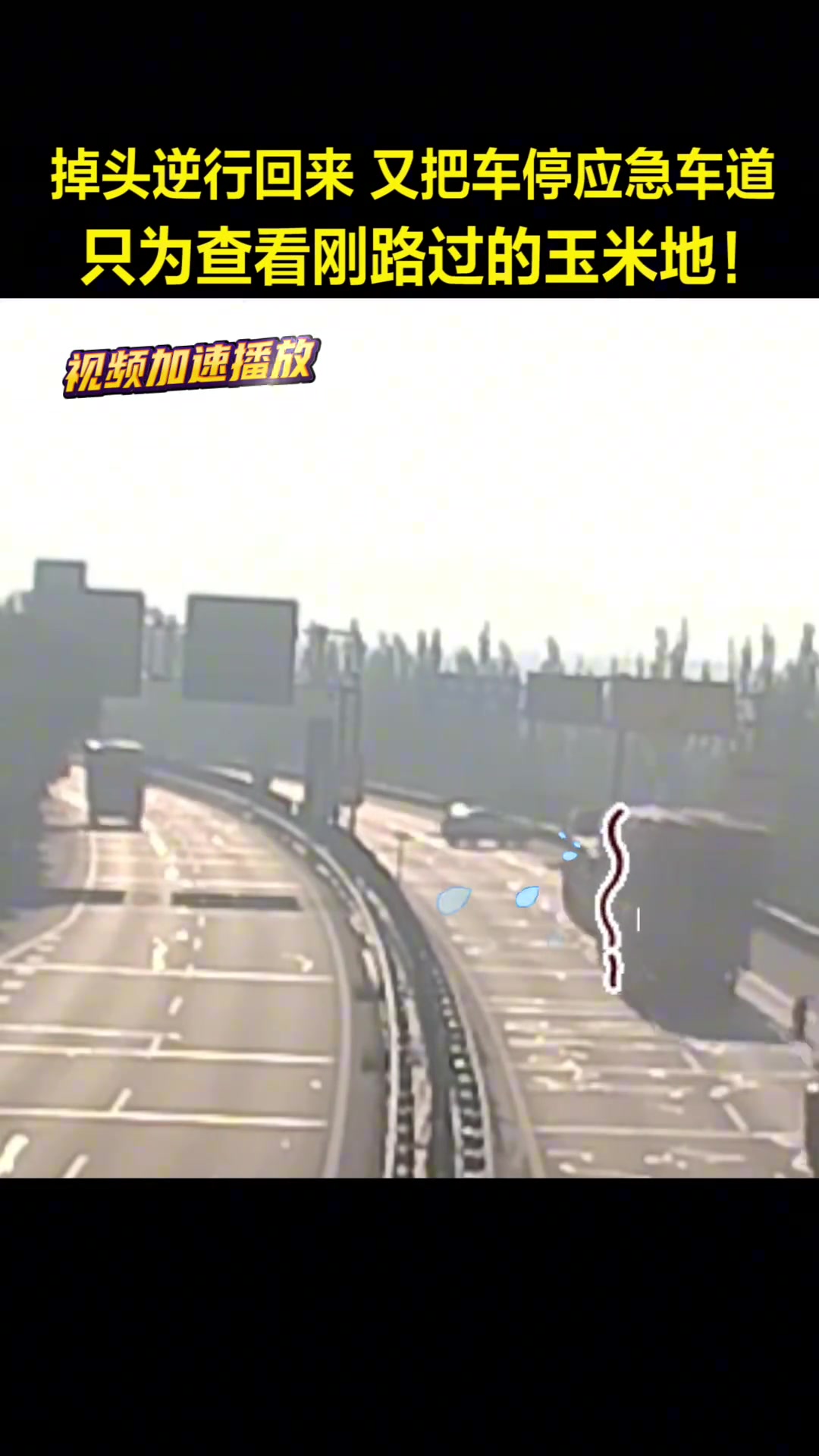 惊！！！逆行只为了收购路边玉米